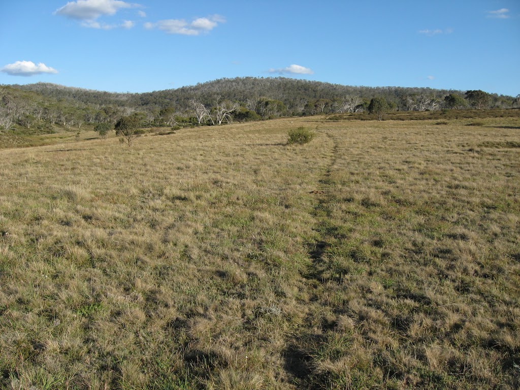 Millers Hut Campground | Long Plain NSW 2629, Australia