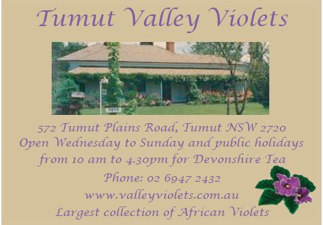 Tumut Valley Violets | store | 572 Tumut Plains Rd, Tumut Plains NSW 2720, Australia | 0269472432 OR +61 2 6947 2432