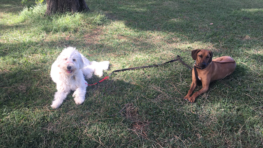 Canine Revolution Dog Training Coffs Harbour | 36 Upper Orara Rd, Karangi NSW 2450, Australia | Phone: 0414 251 177