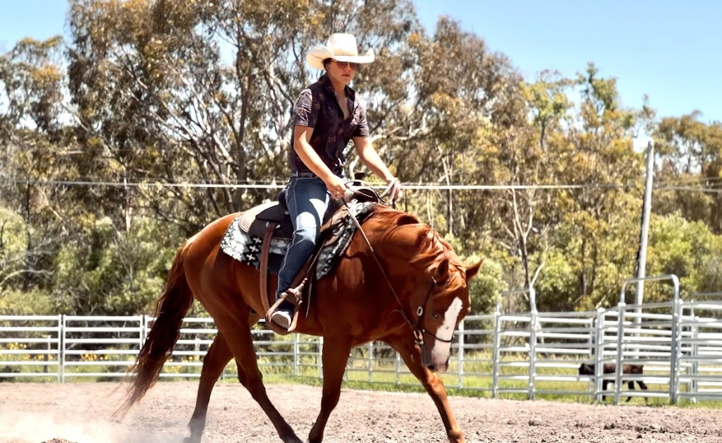 Yeramba Park Performance Horses | 1199 Eukey Rd, Eukey QLD 4380, Australia | Phone: 0474 858 405 Yeramba Park Performance Horses | 1199 Eukey Rd, Eukey QLD 4380, Australia | Phone: 0474 858 405