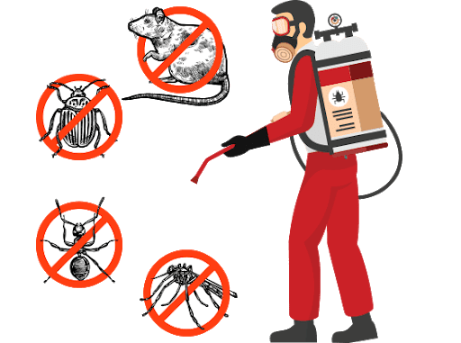 ✅Pest Control Mooloolah Valley - Pest Control Doctor - Ants, Spiders, Cockroach, Bedbugs, Possum, Rodent, Rat Removal, Dead Rat, Dead Animal | home goods store | 20 Maddock Ave, Mooloolah Valley QLD 4553, Australia | 0742434638 OR +61 7 4243 4638
