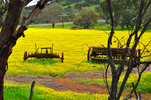 Toodyay Caravan Park | 122 Railway Rd, Toodyay WA 6566, Australia | Phone: (08) 9574 2612