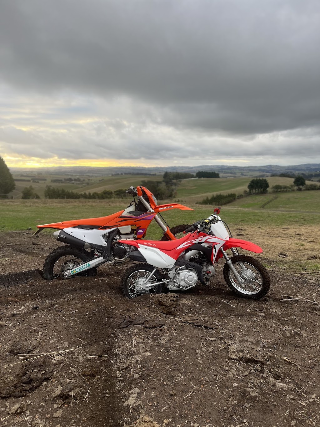Andco farm | 24 Steele and Youngs Rd, Mardan VIC 3953, Australia | Phone: 0408 180 858