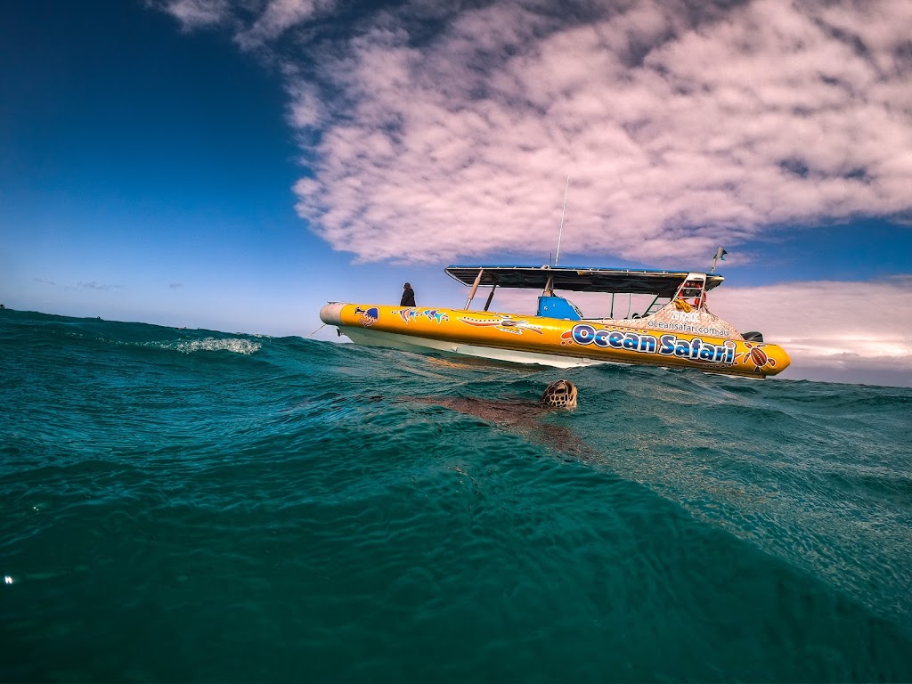 Ocean Safari | The Turtle Rock Cafe, Cape Tribulation Rd, Cape Tribulation QLD 4873, Australia | Phone: (07) 4098 0006