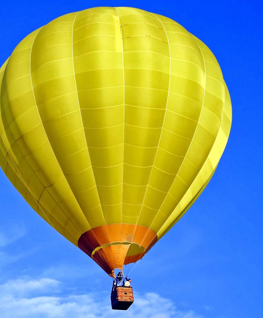 Hunter Balloon Flights | 332 Lovedale Rd, Lovedale NSW 2325, Australia | Phone: (02) 4991 7533