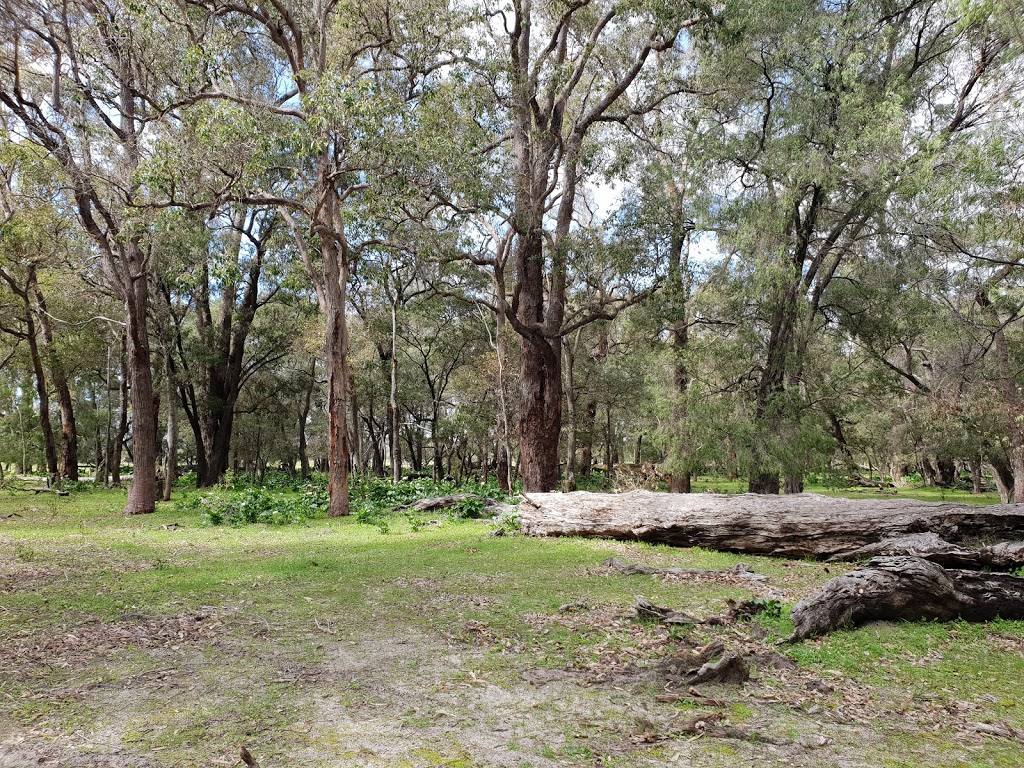 Tuart Forest National Park | park | Higgings Road, Capel WA 6271, Australia | 0897525555 OR +61 8 9752 5555