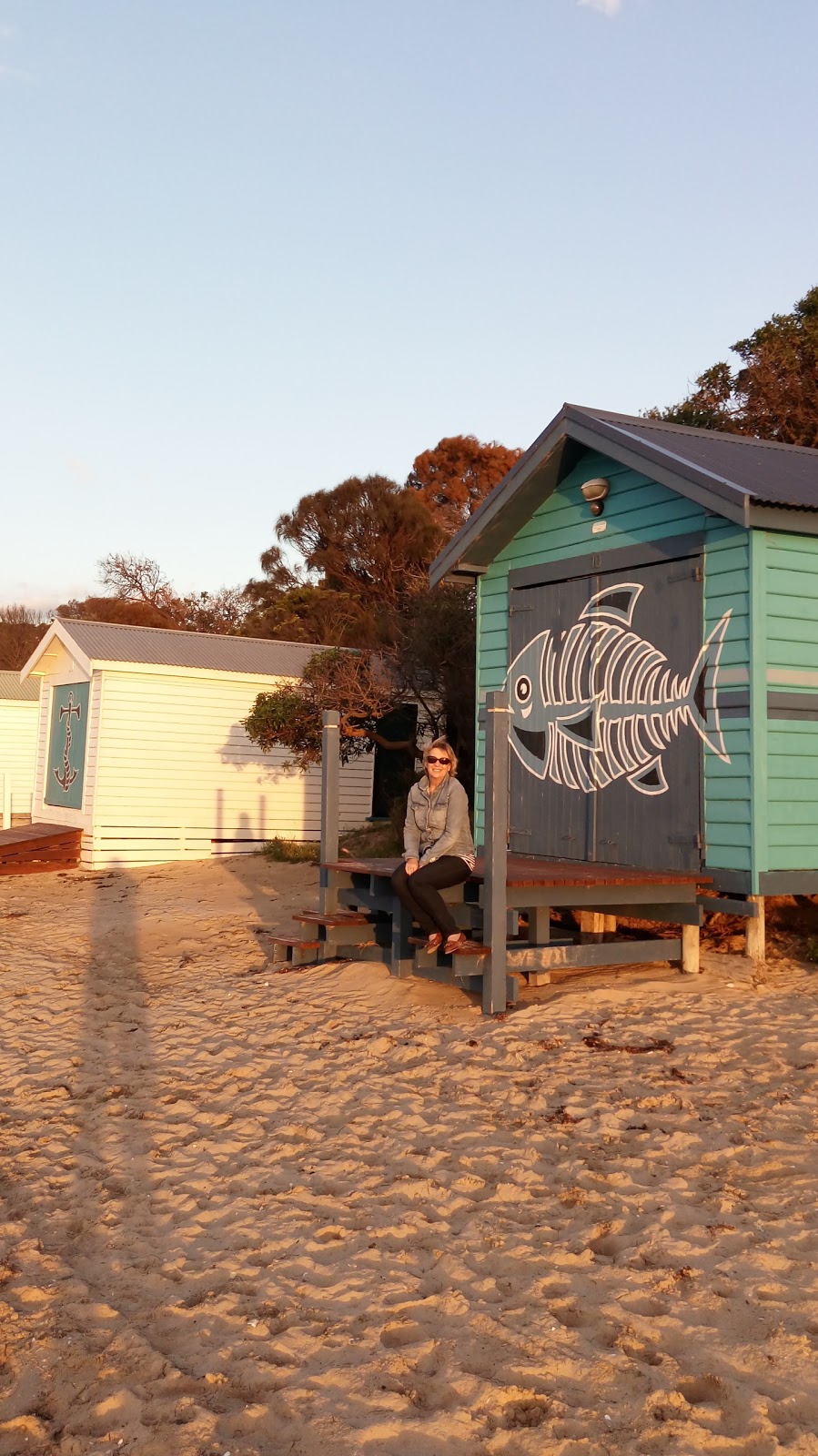 Whitecliffs To Camerons Bight | campground | Rye VIC 3941, Australia | 0359853288 OR +61 3 5985 3288
