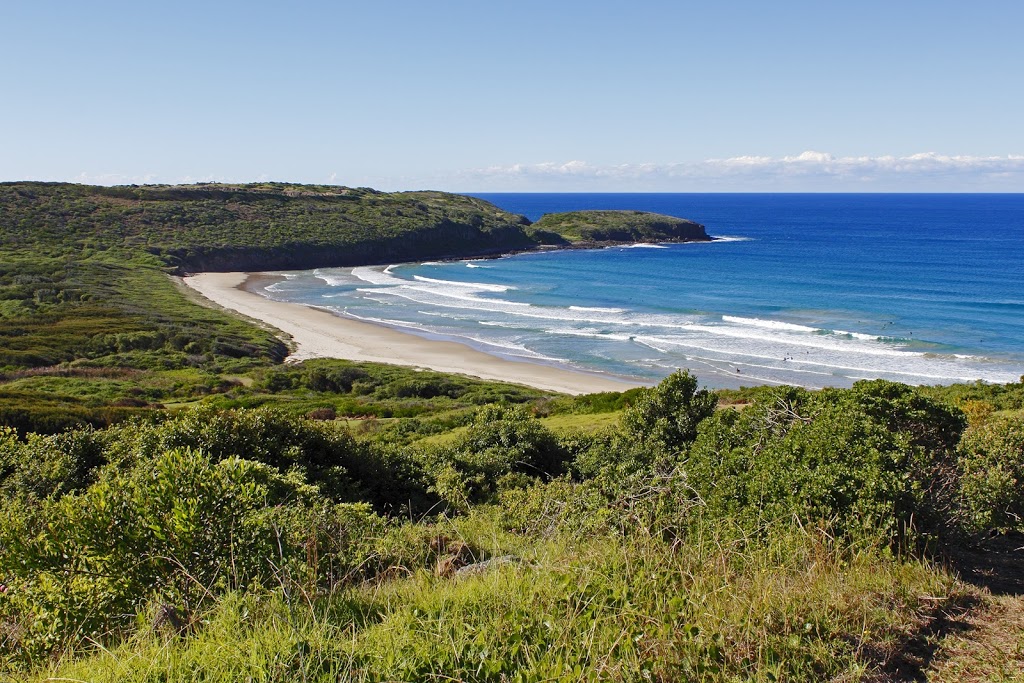 Killalea Park Kiosk | cafe | Killalea Dr, Shell Cove NSW 2529, Australia | 0242378589 OR +61 2 4237 8589