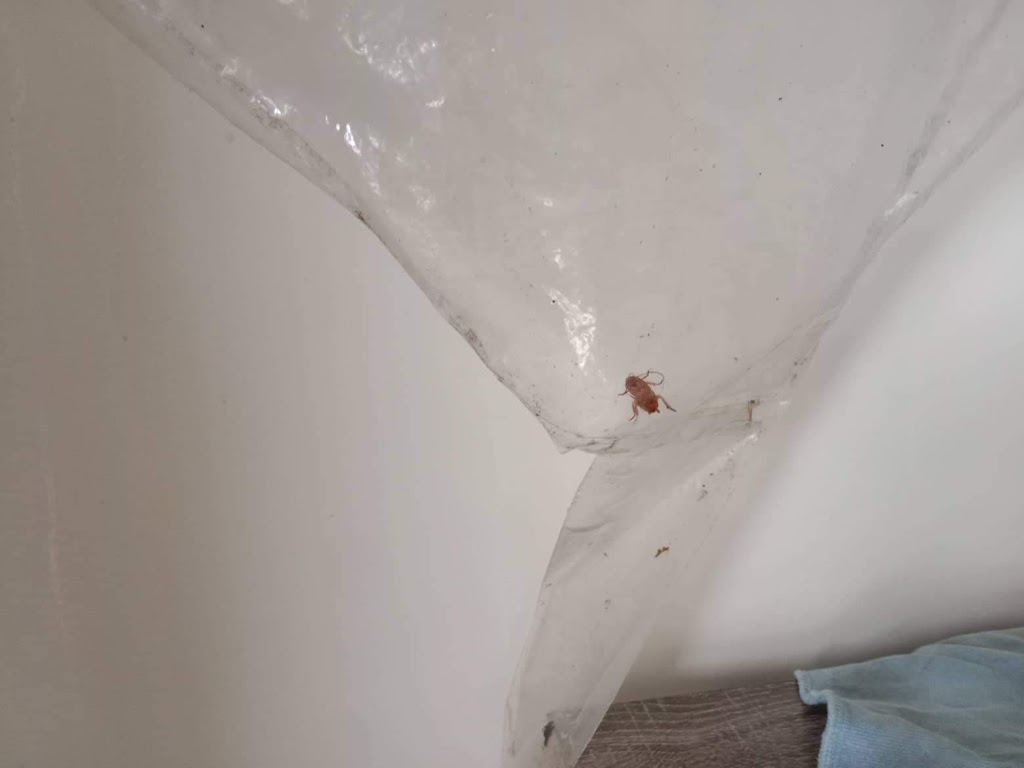 Pro Clean Air | 3 Lakeshore Cres, Willawong QLD 4110, Australia | Phone: 0411 504 096