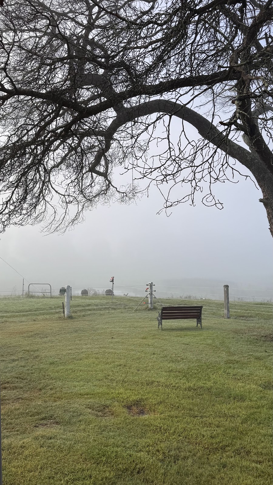 Kalimna Estate | 1155 Tocal Rd, Paterson NSW 2421, Australia | Phone: 0405 505 930