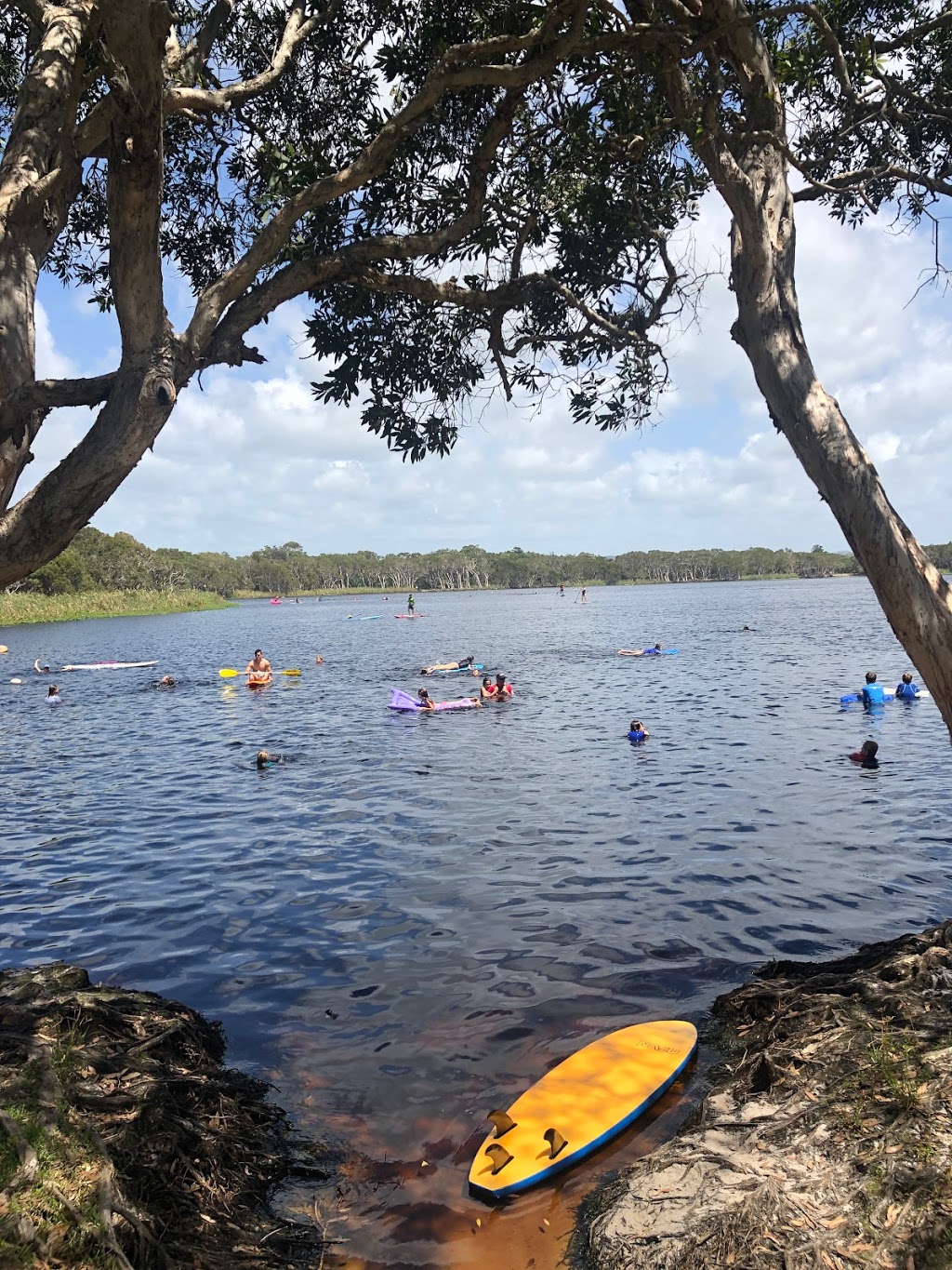 Lake Ainsworth / Tea Tree Lake | Lake Ainsworth,, Lennox Head NSW 2478, Australia | Phone: 13 13 02