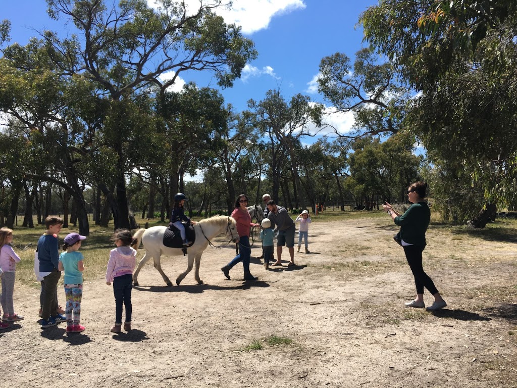 Whinbury Hill Equestrian Centre | campground | 405/485 Forest Rd, Paraparap VIC 3240, Australia | 0418553050 OR +61 418 553 050