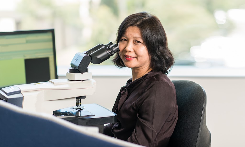 Douglass Hanly Moir Pathology Thurgoona | Shop 5/10 Shuter Ave, Thurgoona NSW 2640, Australia | Phone: (02) 4247 1262