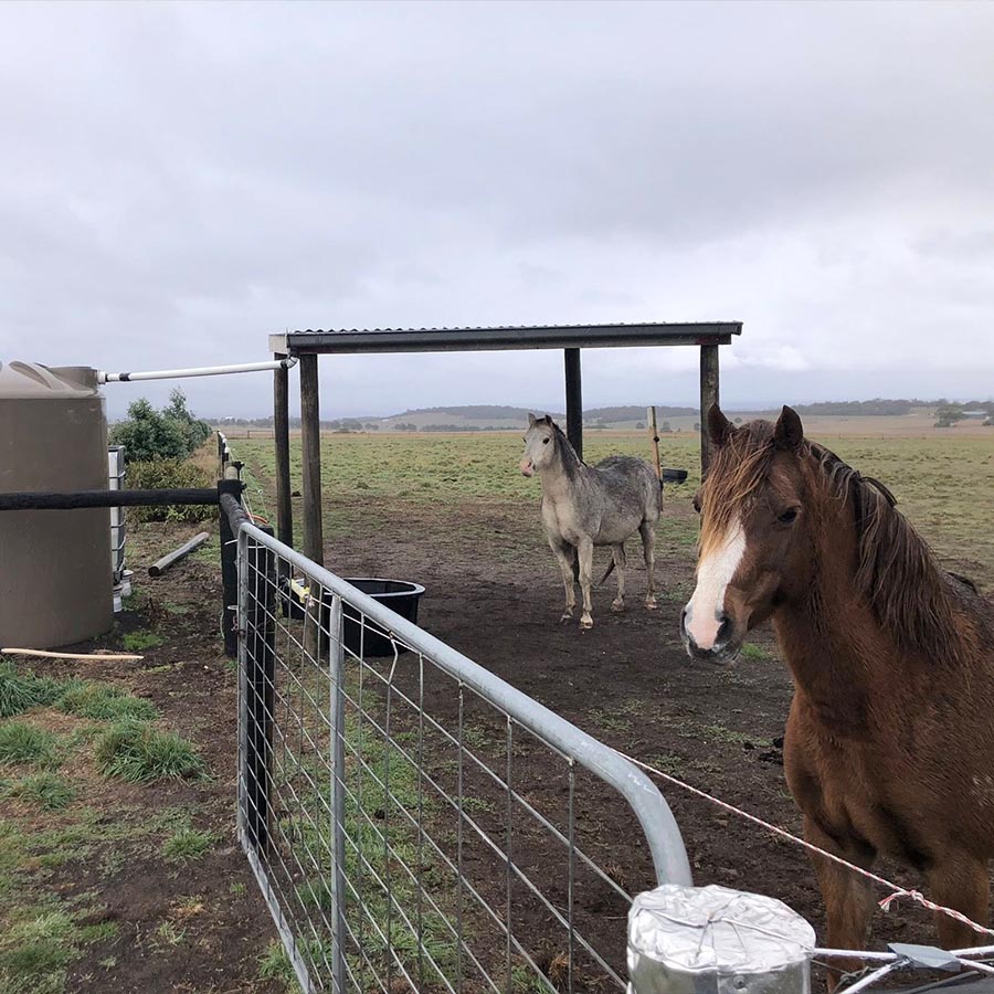 Micks Water Cartage | 564 Greendale-Trentham Rd, Blackwood VIC 3341, Australia | Phone: 0427 431 995