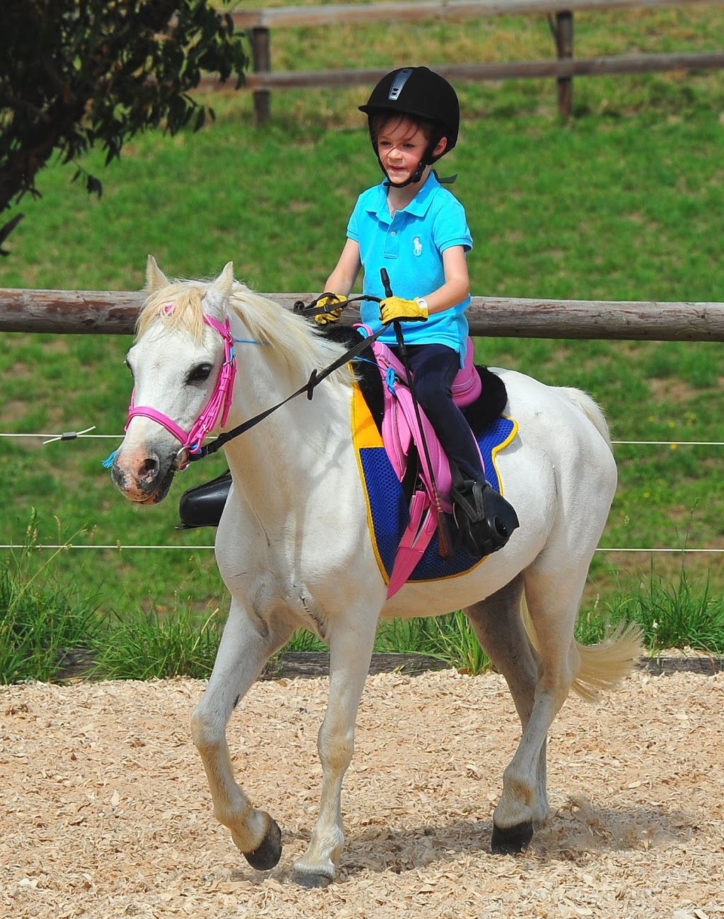 Megan Jones Equestrian Training | 171 River Rd, Hahndorf SA 5245, Australia | Phone: 0435 831 304