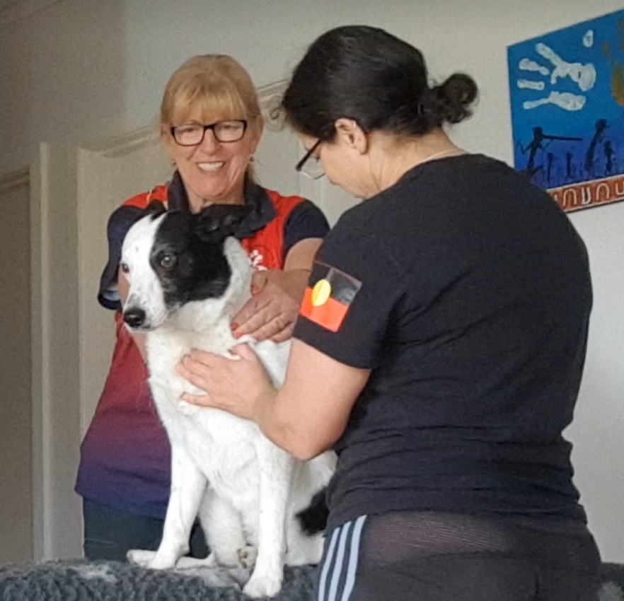 Synergy Canine Wellness and Training | 95 Bengworden Rd, Bairnsdale VIC 3875, Australia | Phone: 0407 526 993