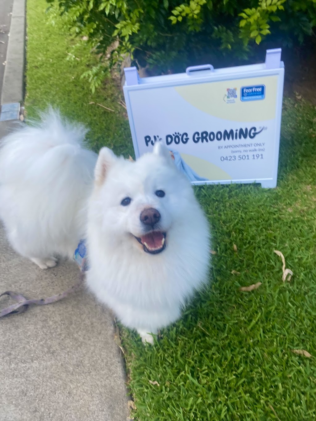 PJ’s Dog Grooming (Sapphire Beach, Coffs Harbour) | Lakeside Dr, Sapphire Beach NSW 2450, Australia | Phone: 0423 501 191