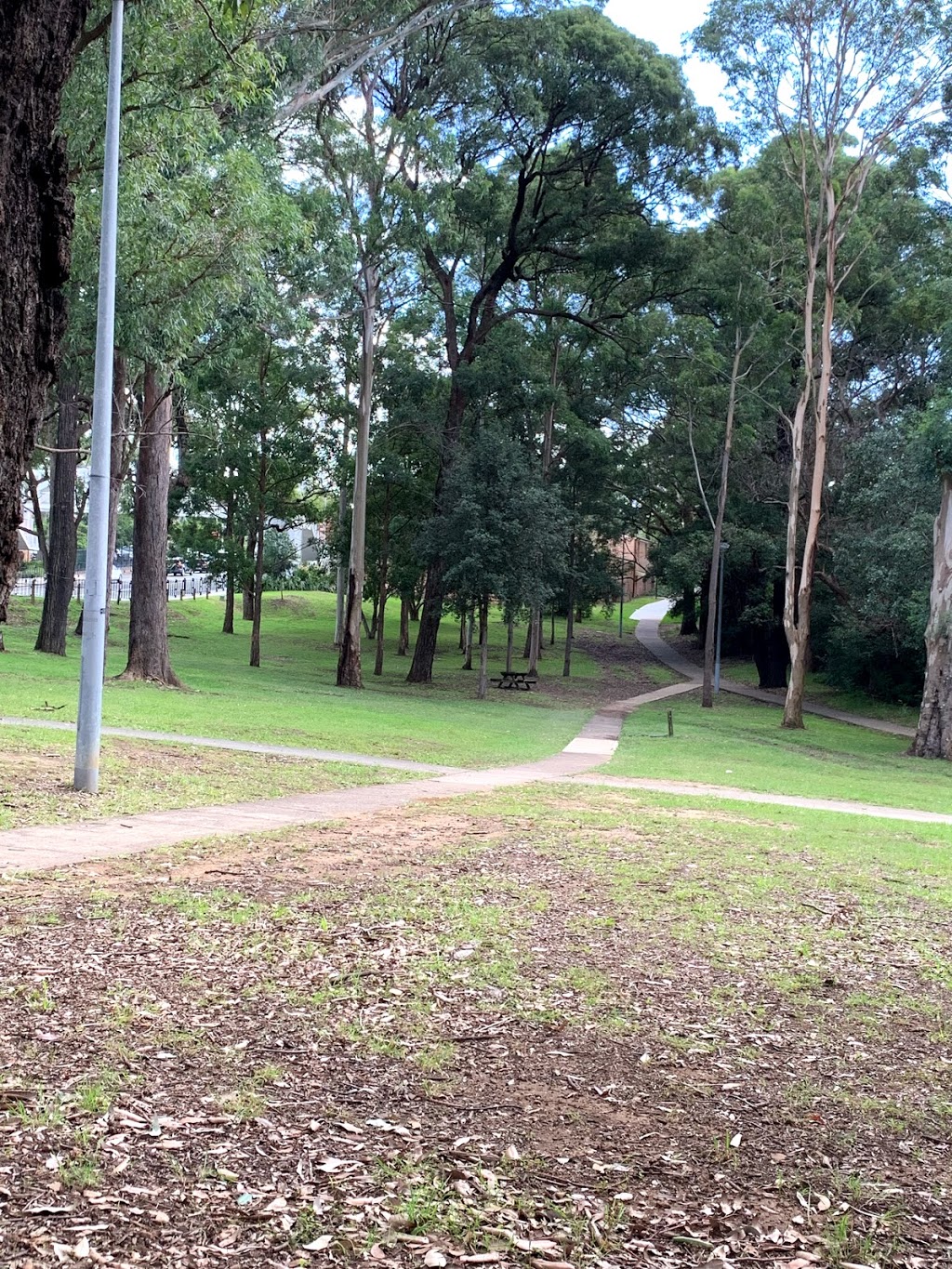 Beecroft Village Green | park | 100 Beecroft Rd, Beecroft NSW 2119, Australia