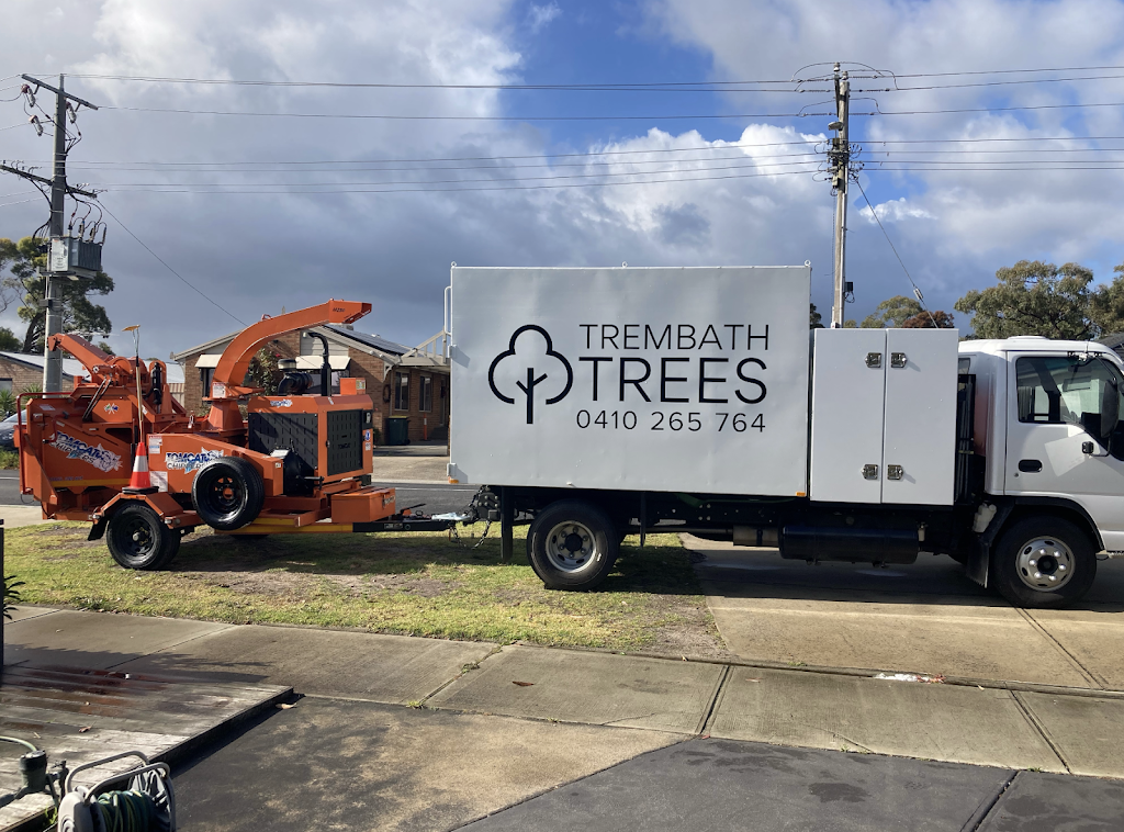 Trembath Trees | Unit 7/13 Silkwood Rise, Carrum Downs VIC 3201, Australia | Phone: 0410 265 764