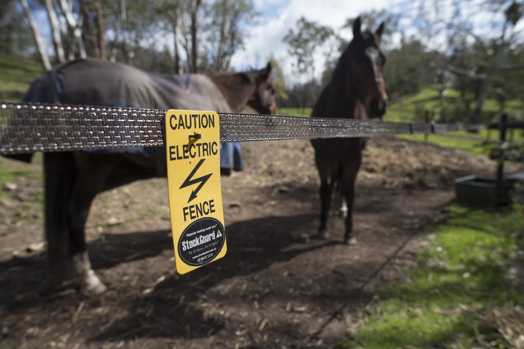 StockGuard Electric Fencing | 208 S Branch Rd, Maryvale QLD 4370, Australia | Phone: 0402 088 866