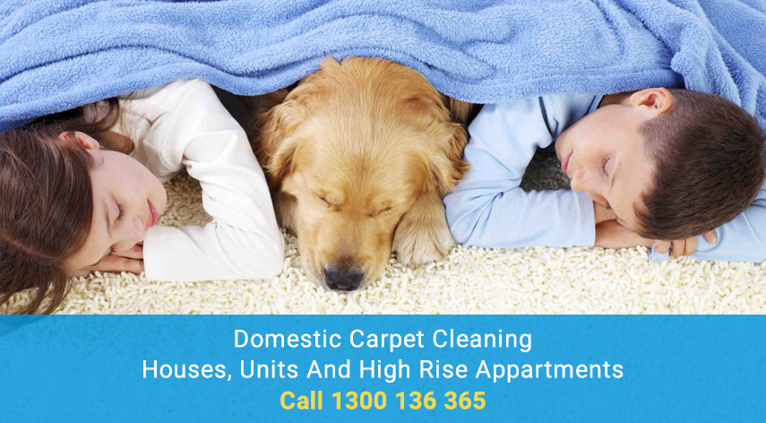 Absolute Carpet Care | laundry | 72 Killarney Cres, Capalaba QLD 4157, Australia | 0733332196 OR +61 7 3333 2196