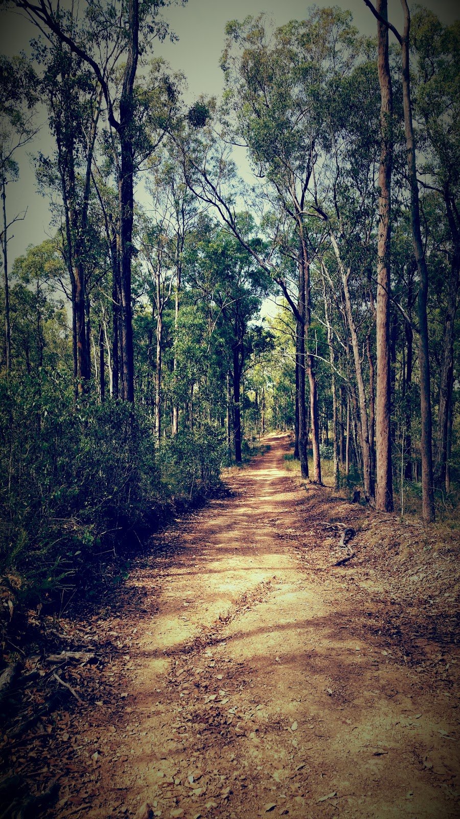 Moggill Regional Park | park | Chalcot Rd, Anstead QLD 4070, Australia | 137468 OR +61 137468