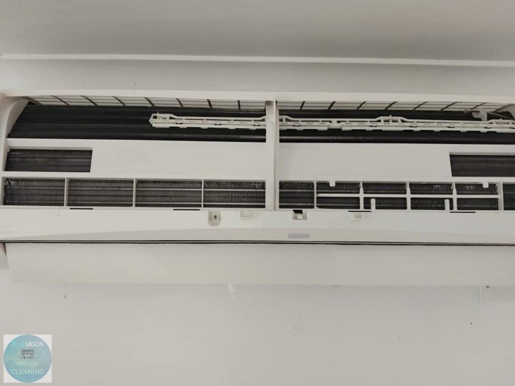 Bluemoon Aircon Cleaning Services | 6 Lakewood Pl, Zilzie QLD 4710, Australia | Phone: 0492 254 104