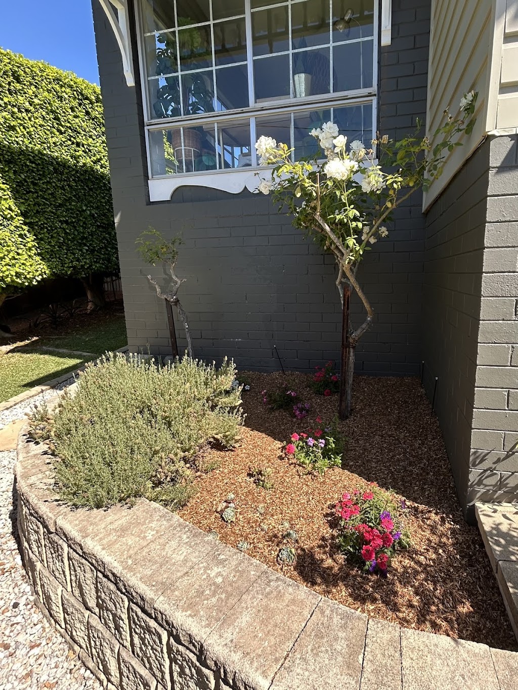 Lachys Outdoor Care | 8 Stanley St, Belmont NSW 2280, Australia | Phone: 0490 397 425