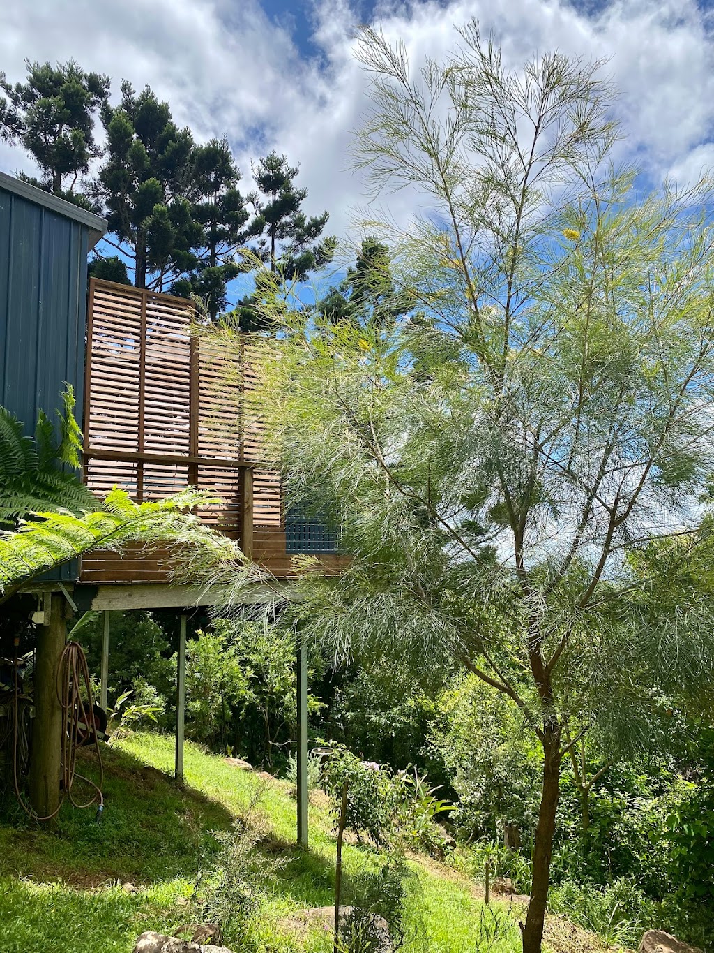 Willow Cabin | 8 Willow Ct, Beechmont QLD 4211, Australia | Phone: 0417 282 857
