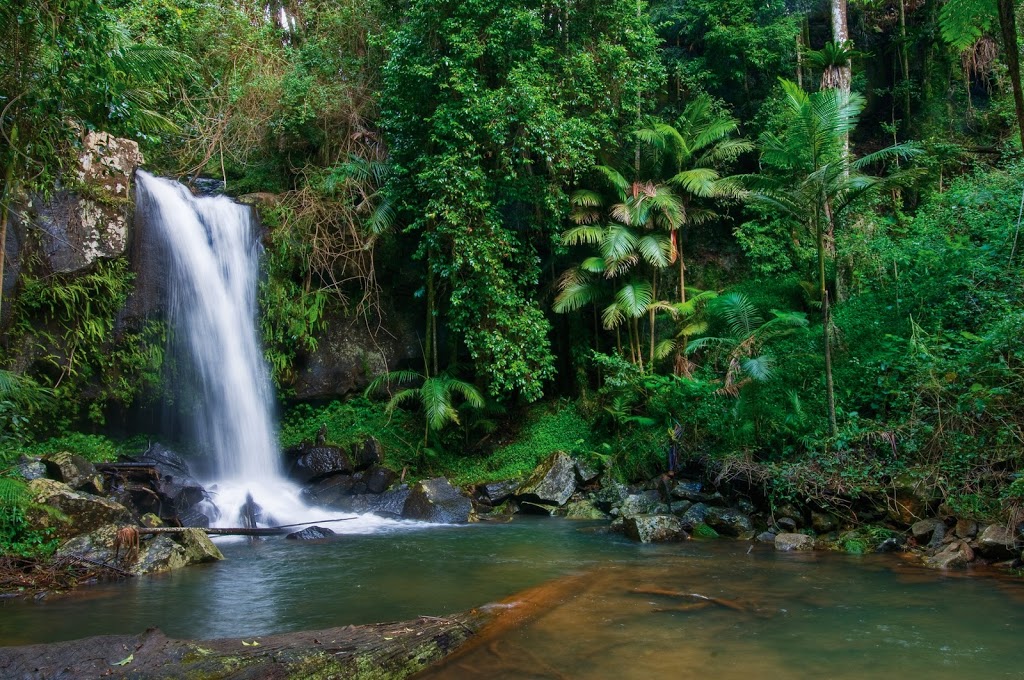 Experience Tamborine Mountain | tourist attraction | Cnr Main Western Road and, Hartley Rd, Tamborine Mountain QLD 4272, Australia | 0412839587 OR +61 412 839 587