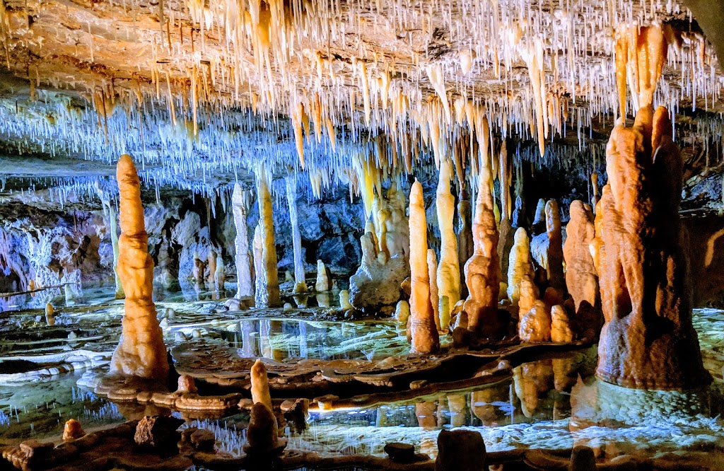 Buchan Caves Reserve Visitor Centre and Ticket Office | travel agency | 98 Caves Rd, Buchan VIC 3885, Australia | 0351621900 OR +61 3 5162 1900