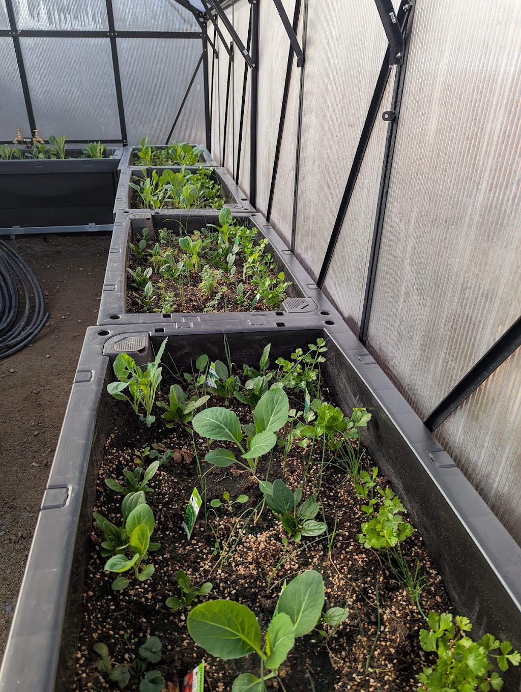 Harvest Haven Community Garden | 58 Murray St, Tumbarumba NSW 2653, Australia | Phone: 0429 654 734