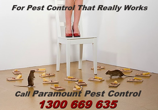 Paramount Pest Control | home goods store | 1/4 Frederick St, Sunbury VIC 3429, Australia | 1300669635 OR +61 1300 669 635