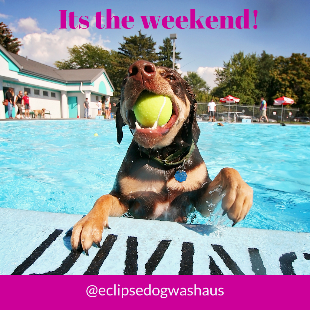 Eclipse Dog Wash & Grooming | 112 James Cook Dr, Endeavour Hills VIC 3802, Australia | Phone: 0435 030 621