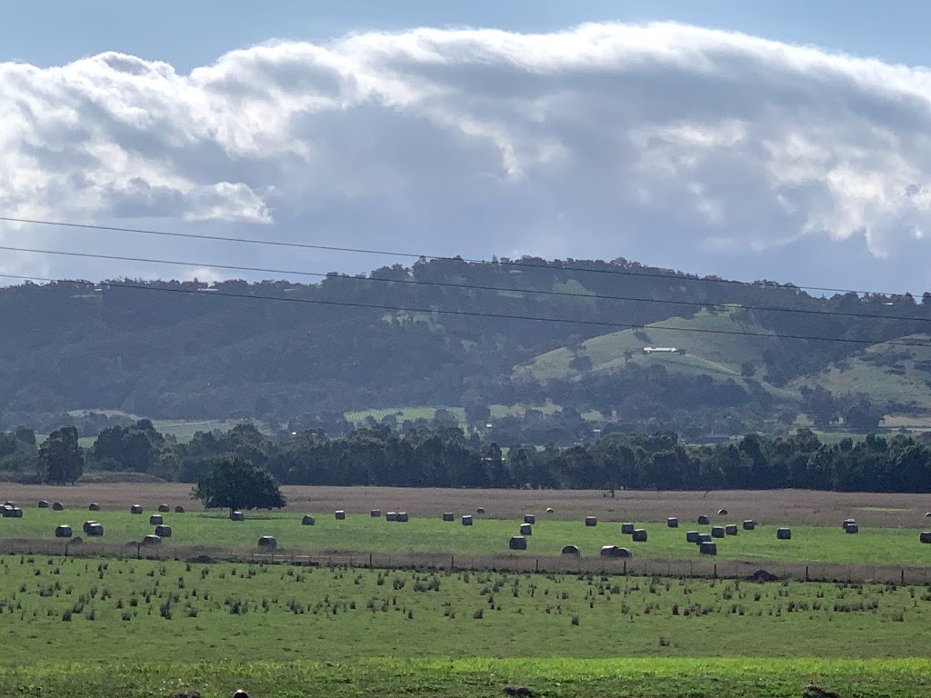 Yarra Valley Farmers Market | Punt Road Winery, 10 St Huberts Rd, Coldstream VIC 3770, Australia | Phone: (03) 9739 0122