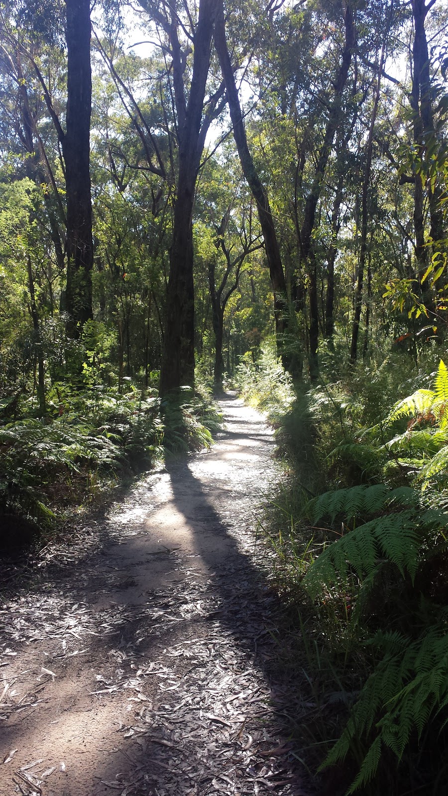 Blue Gum Swamp Track | park | 132 White Cross Rd, Winmalee NSW 2777, Australia