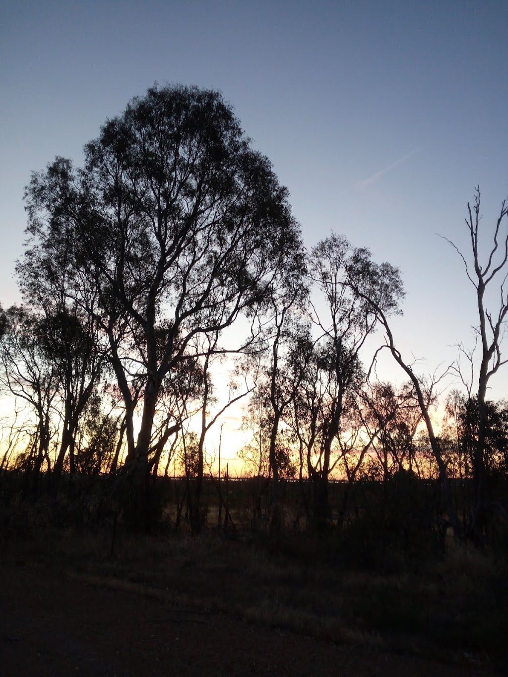 Winton Bushland Reserve | Winton VIC 3673, Australia | Phone: 13 19 63
