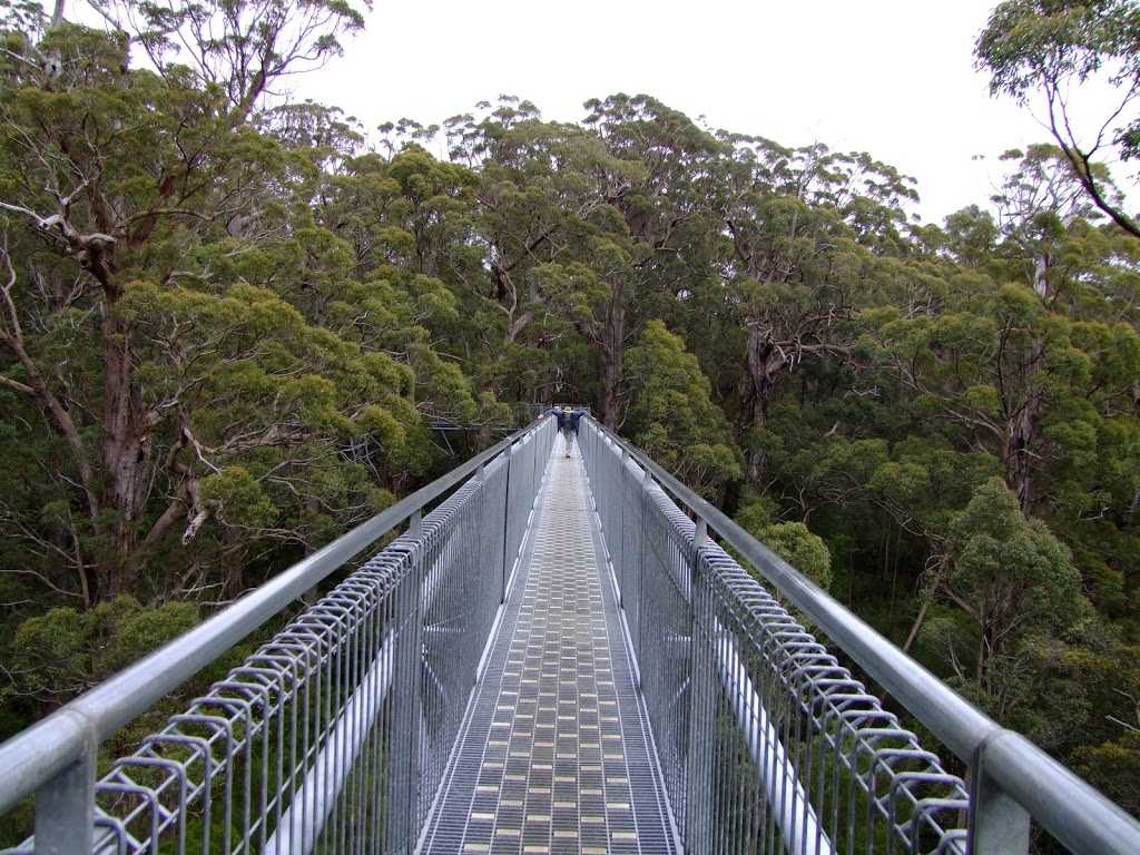 Walpole-Nornalup National Park | park | South Coast Hwy, Walpole WA, Australia | 0898400400 OR +61 8 9840 0400