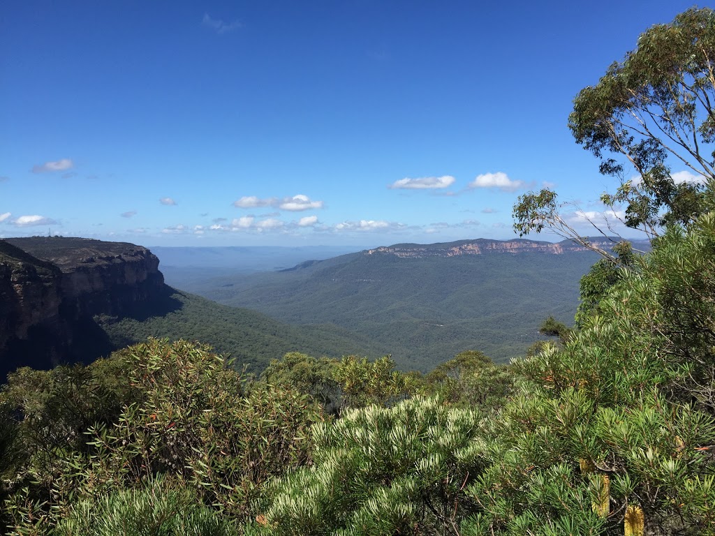 TerryWhite Chemmart Wentworth Falls | pharmacy | 1/38 Station St, Wentworth Falls NSW 2782, Australia | 0247571410 OR +61 2 4757 1410