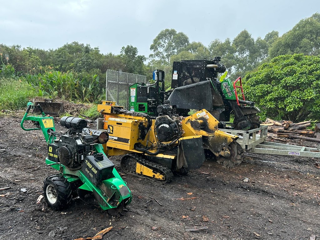 Pro Arborists northern beaches | 42A Tennyson Rd, Cromer NSW 2099, Australia | Phone: 0452 200 715