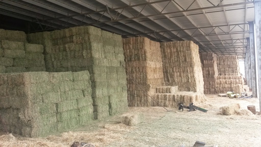 Complete Hay Supplies | 14 Industry Ct, Lilydale VIC 3140, Australia | Phone: 0427 001 803