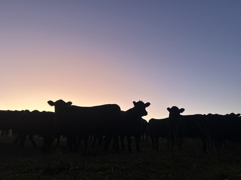 Arcadia Farms | 291 Goulburn Valley Hwy, Seymour VIC 3660, Australia | Phone: 0416 420 684