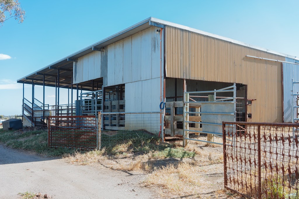 SageFarm Farm Stay | 2430 Midland Hwy, Bannockburn VIC 3331, Australia