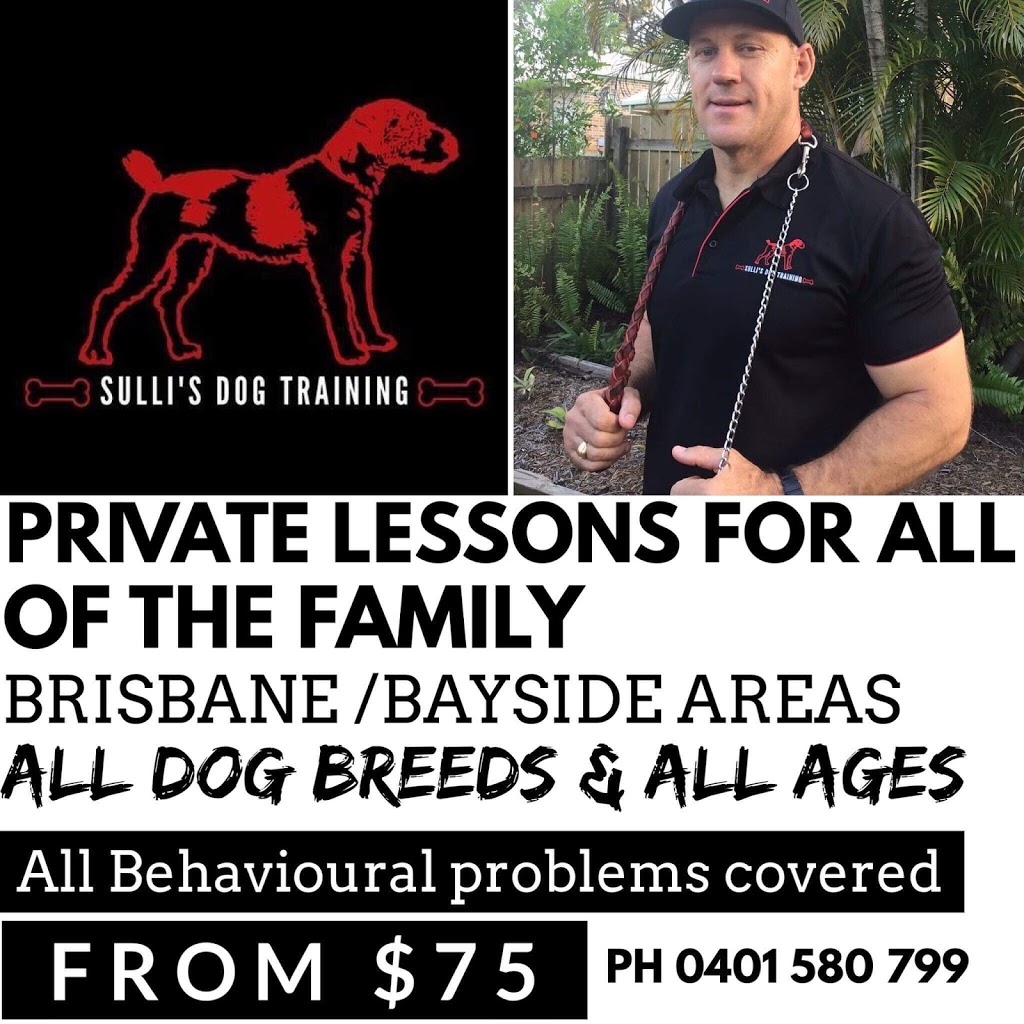 Sulli’s Dog Training | pet store | Unit 6/53 Windemere Rd, Alexandra Hills QLD 4161, Australia | 0401580799 OR +61 401 580 799