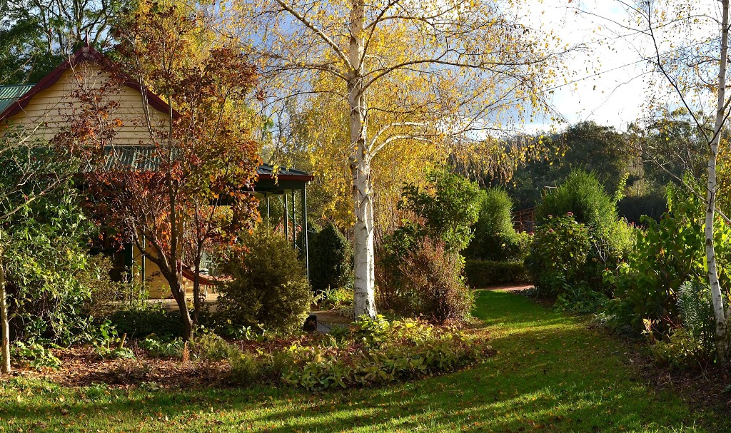 The Witches Garden | lodging | 608 Dartmouth Rd, Mitta Mitta VIC 3701, Australia | 0260723533 OR +61 2 6072 3533