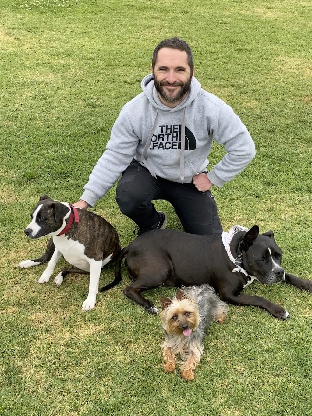 Big Head Dog Training | 147 Vulcan St, Moruya NSW 2537, Australia | Phone: 0404 217 087