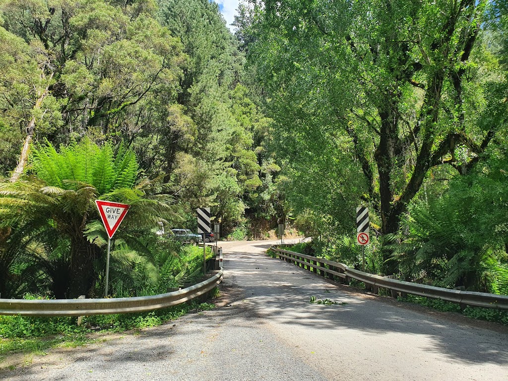 The Redwoods Otways | tourist attraction | Binns Rd, Beech Forest VIC 3237, Australia | 1300689297 OR +61 1300 689 297