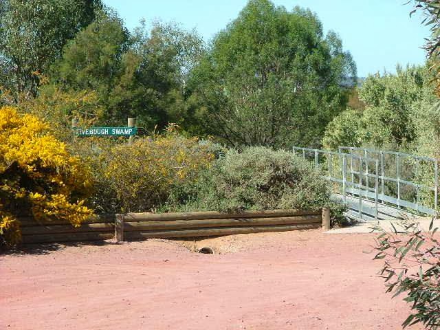 Fivebough and Tuckerbil Wetlands | park | Leeton NSW 2705, Australia | 0269601343 OR +61 2 6960 1343