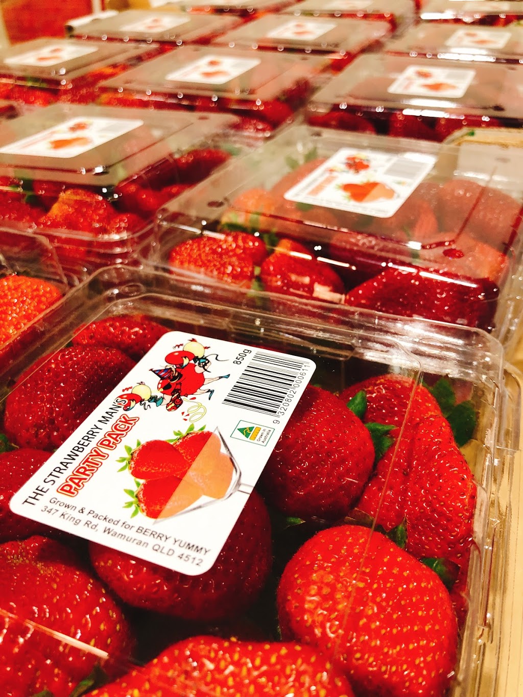 Sunray Strawberries |  | 347 King Rd, Wamuran QLD 4512, Australia | 0754967364 OR +61 7 5496 7364