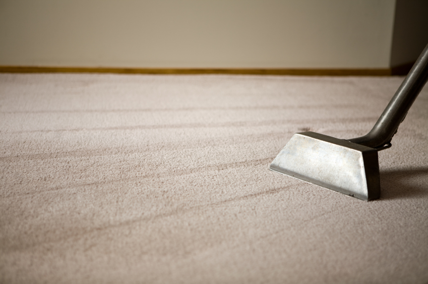 Hot and Steamy Carpet Cleaning - Melbourne | laundry | 3/196 North Rd, Brighton East VIC 3187, Australia | 1300008255 OR +61 1300 008 255